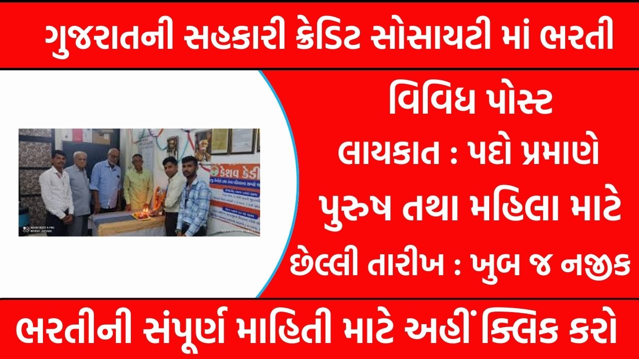 Co-operative Credit Society Recruitment Gujarat